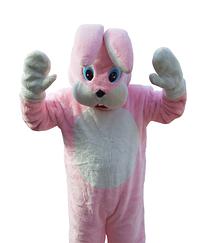 ピンクラビット