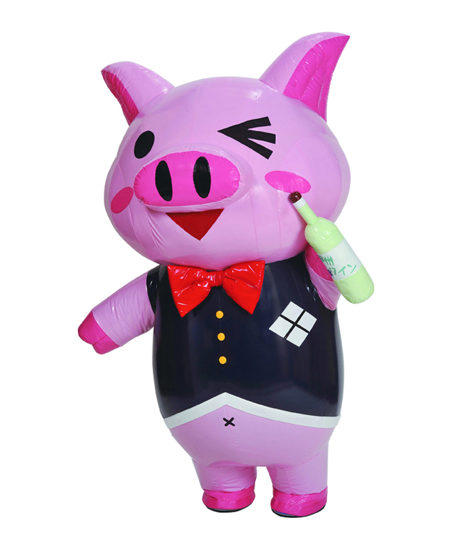 ナムキャラ応援団　山梨県担当団員　トントンちゃん