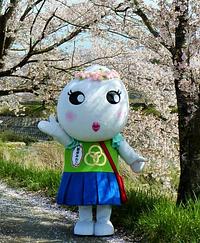 新米みわこちゃん