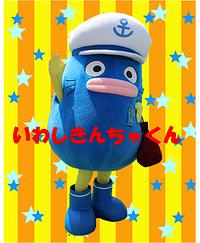 いわしきんちゃ君