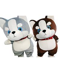 びんちゃん　たぴきち