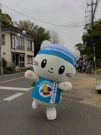 かすみがうにゃ