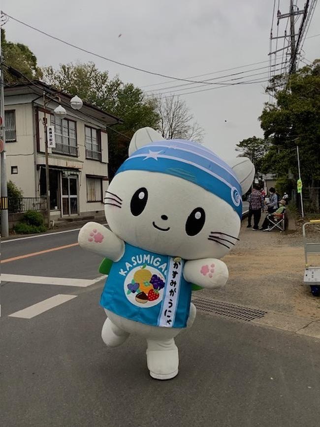 かすみがうにゃ