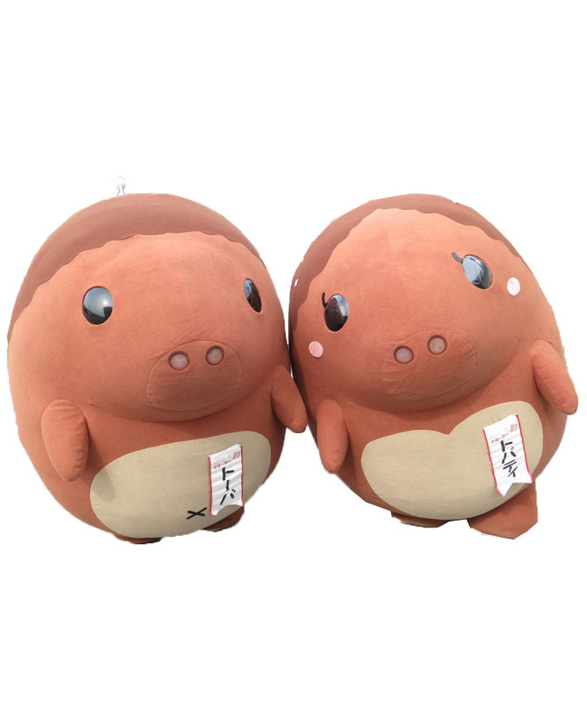 トーバ・トパティ