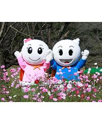 しらたマン／しらたまちゃん