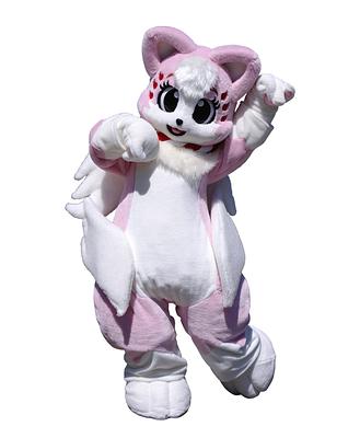 柴崎さきの画像