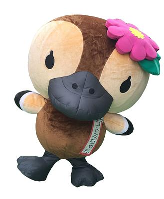 コトミちゃんの画像