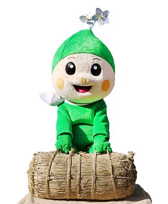 りんりんちゃんの画像