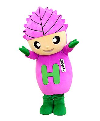 はるちゃんの画像