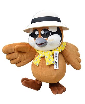 ぼうじろーの画像