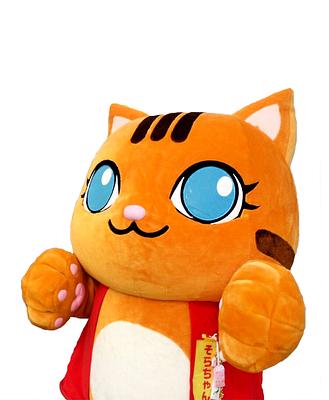 そらちゃんの画像