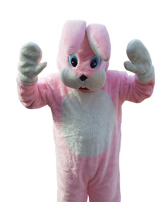 ピンクラビットの画像