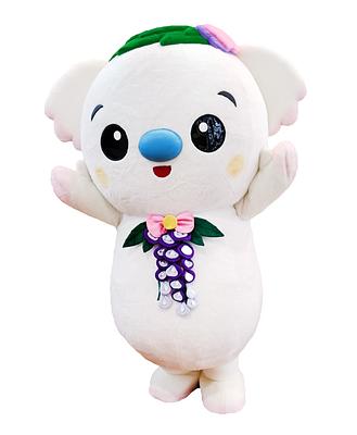 ココラちゃんの画像