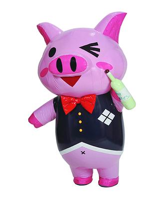 ナムキャラ応援団　山梨県担当団員　トントンちゃんの画像