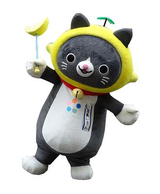 きれいもんの画像