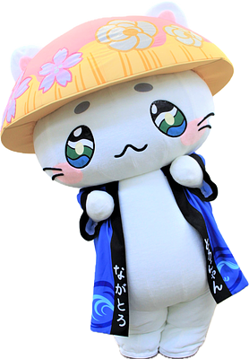 とろにゃんの画像