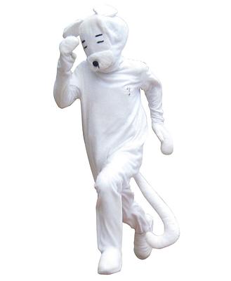 サガッシーの画像