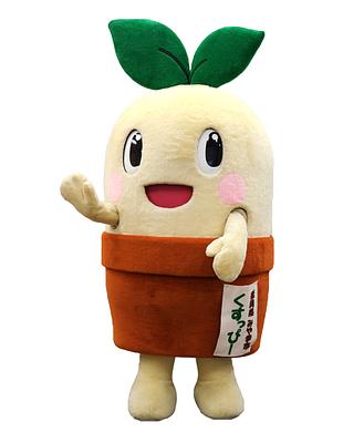 くすっぴーの画像