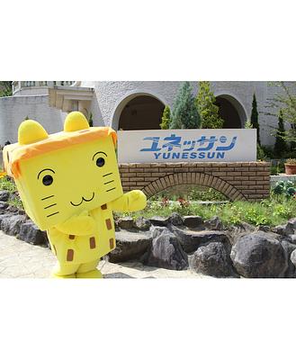 ハコネコ　ボザッピィの画像