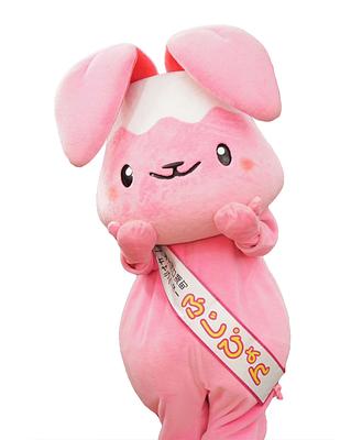 ふじぴょんの画像