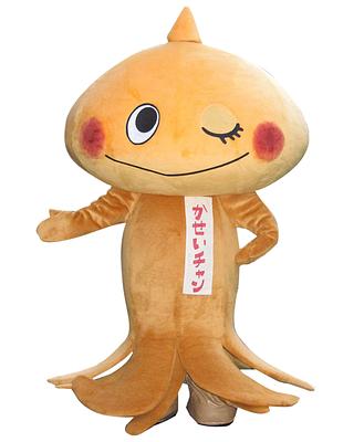 かせいチャンの画像