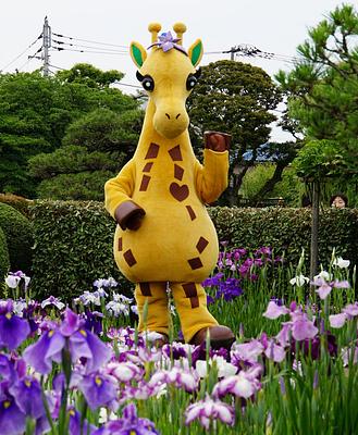 ほりきりんの画像