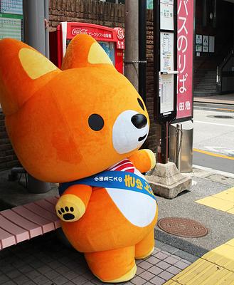 きゅんたの画像