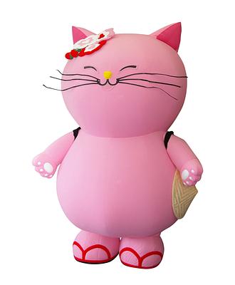 ぽかにゃんの画像