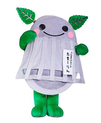 たまーりんの画像