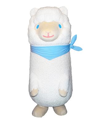 アンディーの画像