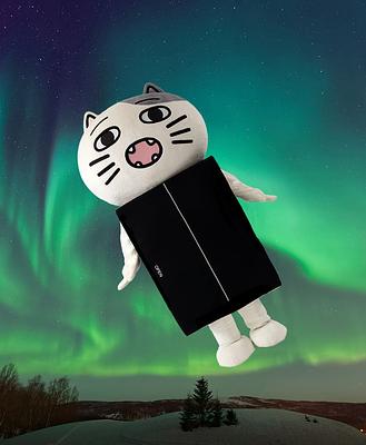 箱猫マックスの画像