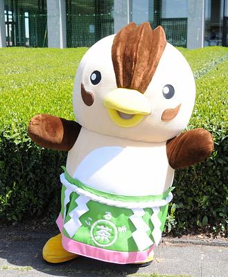 いるティーの画像