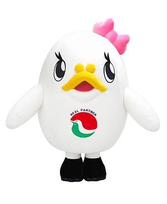 ハトたまの画像