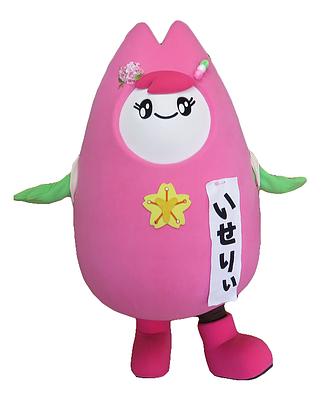 いせりぃの画像