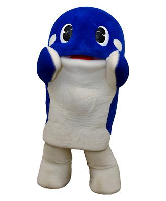 カイオーの画像