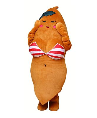 こんボインの画像