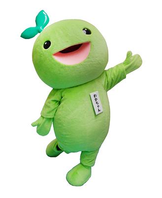 わかちゃんの画像