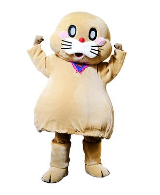 ポコたんの画像