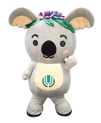 こあらっちの画像