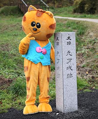 浄法寺のねこの画像