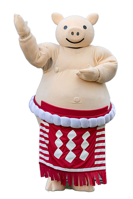 ぶーちゃんの画像