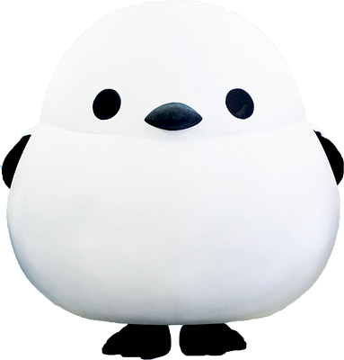 シマちゃんの画像