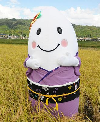 まめっこまいちゃんの画像