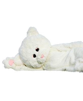 みぃちゃん の画像