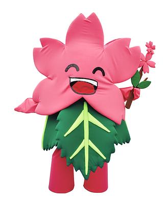 サクラくんの画像