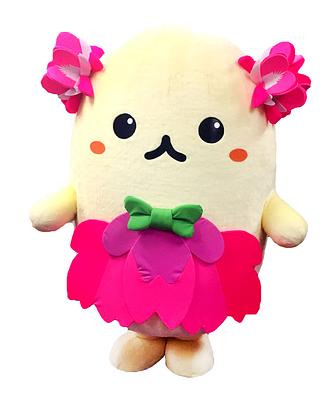 きたぴーの画像