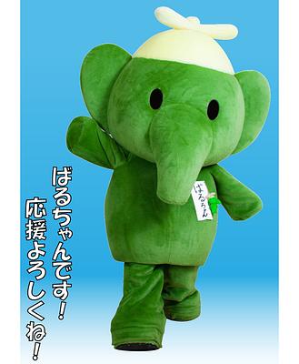 ばるちゃんの画像