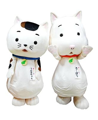 き～ぼう・つむぎちゃんの画像