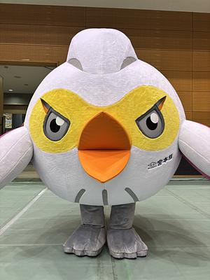 ヴィックの画像