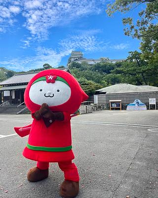 おもてなし忍者犬 梅ちゃんの画像